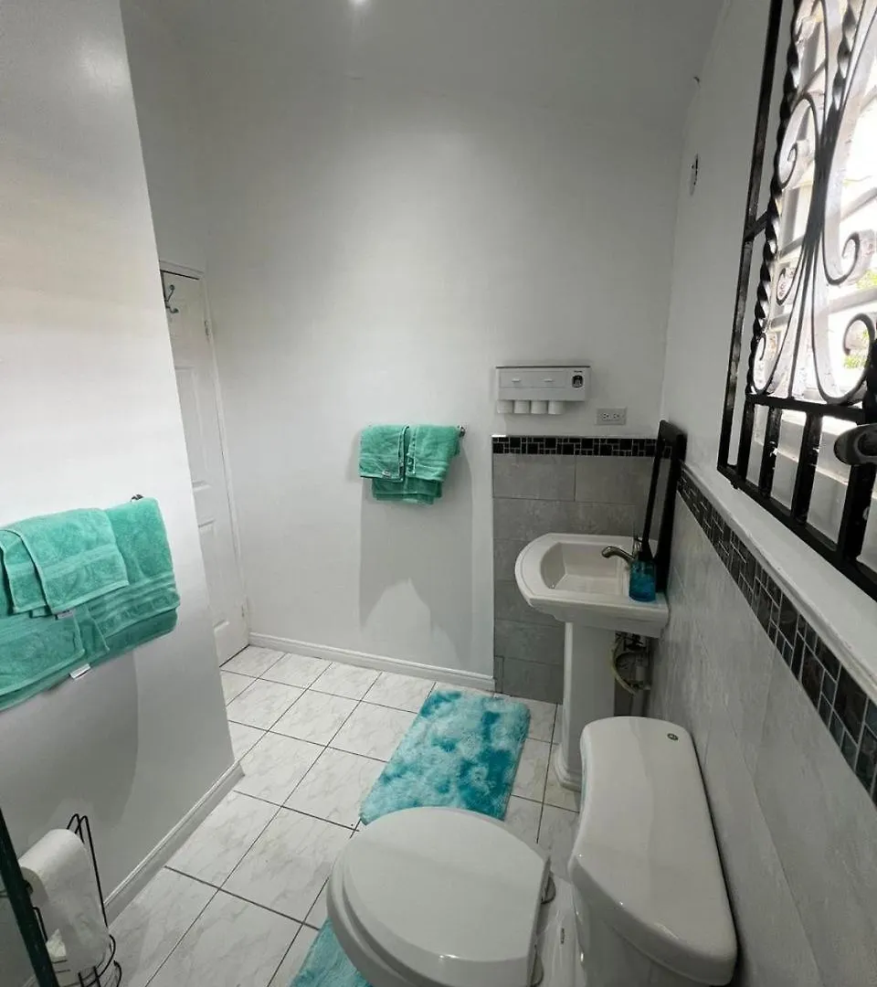 Renewed Living Villa Montego Bay Holiday home